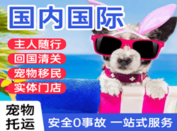 涟水航空运输国际宠物托运 【国